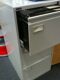 Guest blog post: Jenny Jones, Stuart Hall Library volunteer 2 ova filing cabinet 001